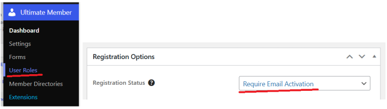 How to enable “Account Activation Email” in Ultimate Member