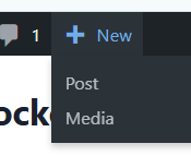 How to show the dashboard for Author user in WordPress