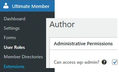 Why does the homepage appear when an Author clicks the Posts menu?